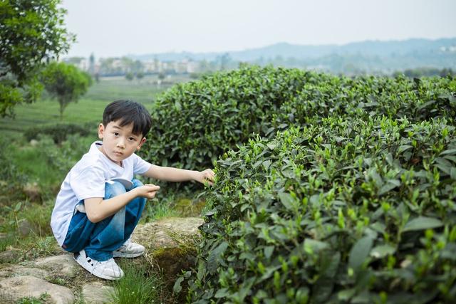 有雨山戴帽无雨半山腰什么意思，有雨山带帽,无雨山半腰（山戴帽云拦腰、乌头风白头雨）