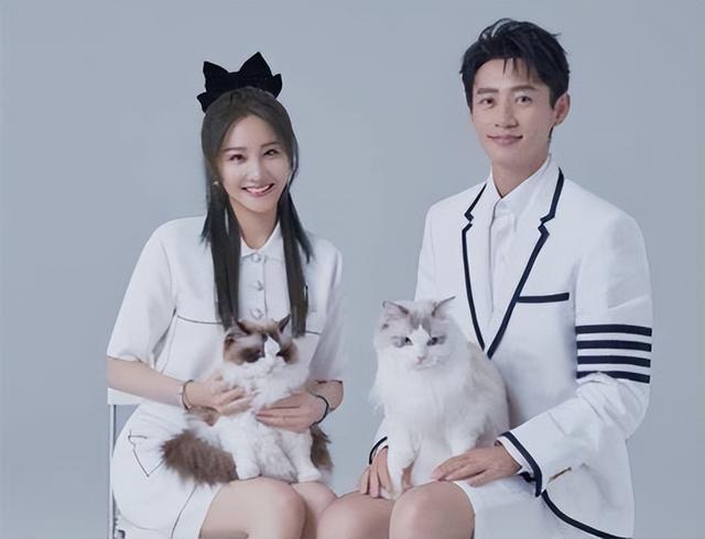 明星夫妻有哪些，明星夫妻一起演的电视剧有哪些（真正恩爱的9对明星夫妻）