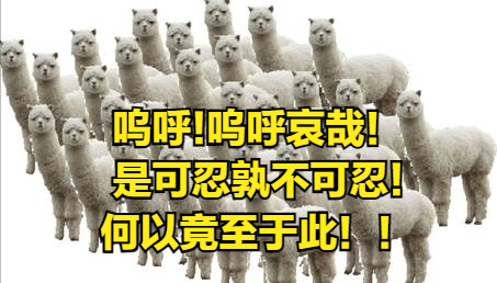 叶良辰是什么梗，叶良辰是什么梗赵日天现在怎么样了（“2021年度十大网络用语”出台）