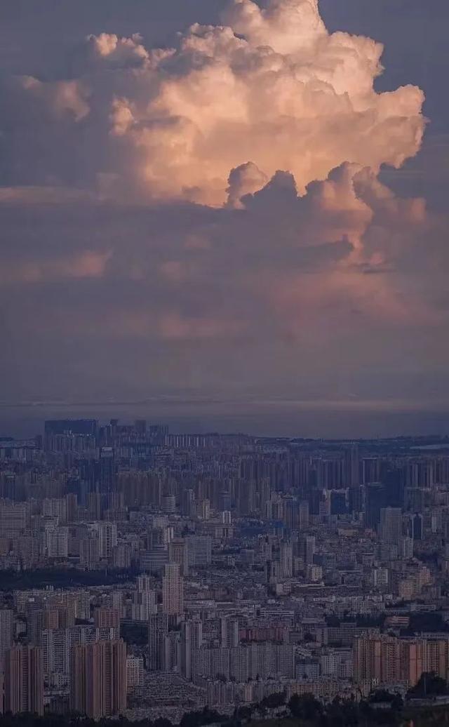 云南最好吃的野生菌在哪，中国最浪漫城市非她莫属