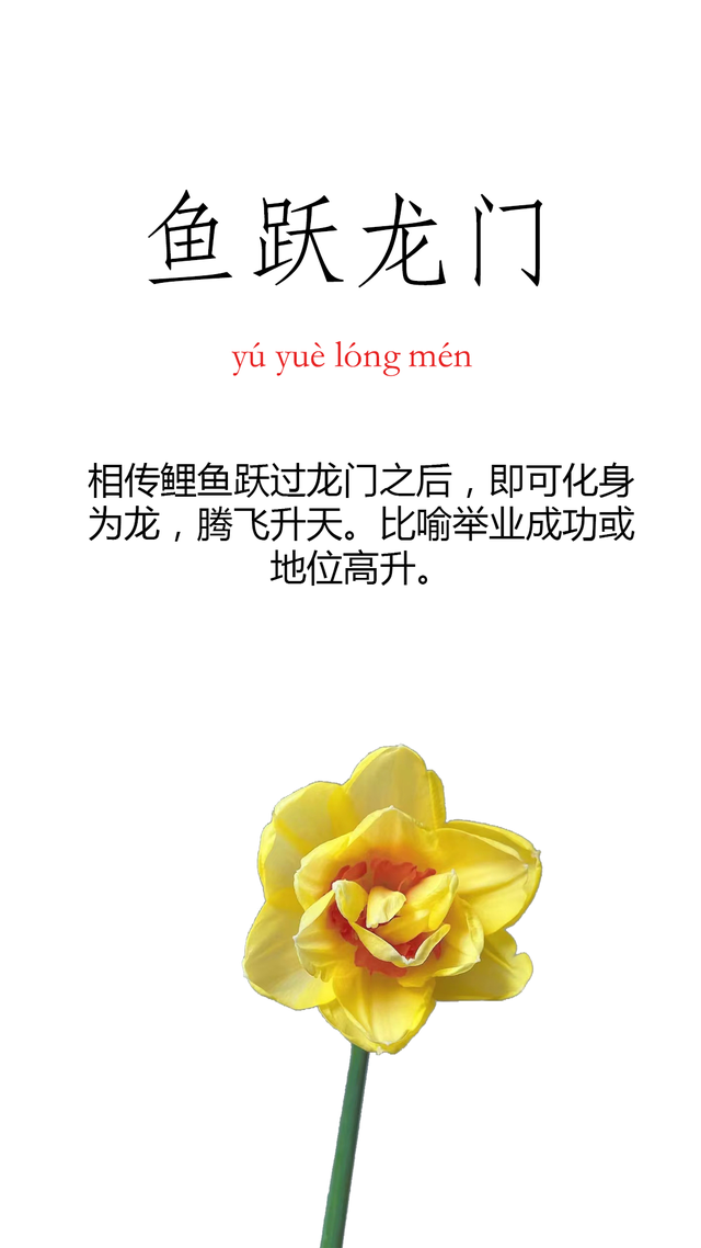 祝福的四字词语，美好祝福的四字词语（七个饱含深切祝福的成语）