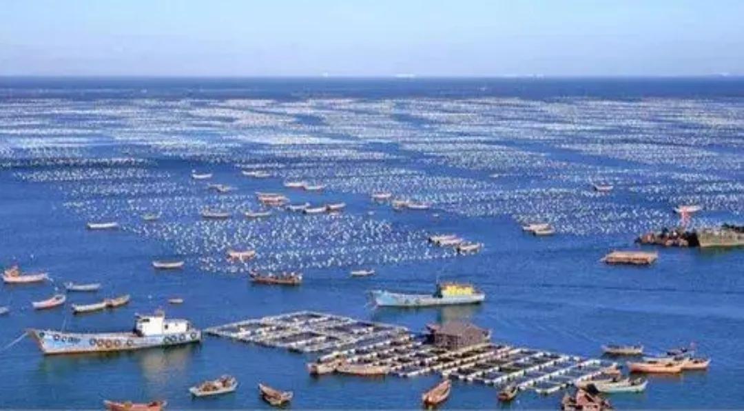 浙江舟山属于哪个市(舟山是几线城市?)