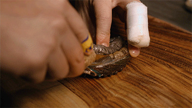 美贝怎么吐沙，2分钟花蛤快速吐沙子（洗白白盖上被子煮一煮）