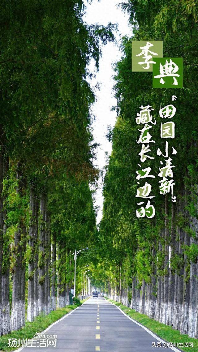 长江边的“田园小清新”！扬州工业重镇不为人知的一面