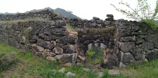 东北五大仙是什么，东北五大仙是什么仙（属于东北五大仙的快意恩仇又是怎样的）