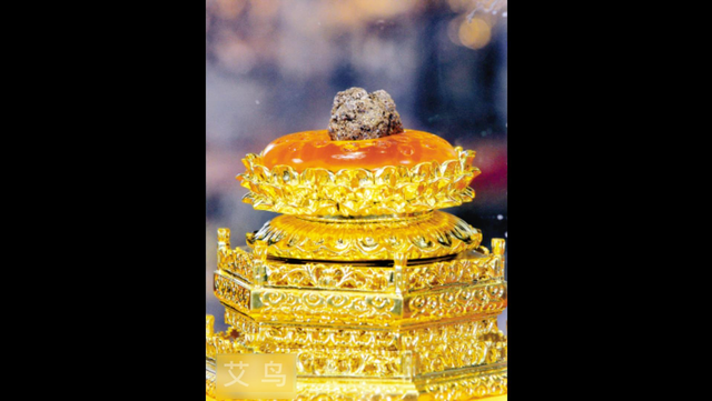 佛舍利到底是什么，佛家舍利子是什么（佛门高僧肉身会千年不毁）