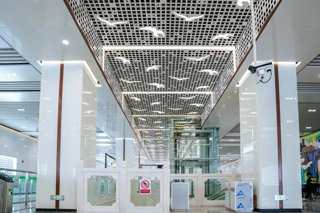 豹龟结石，昆明地铁5号线，首！发！见（肾结石会有啥症状）