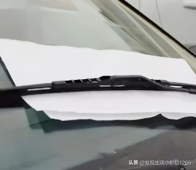 芒果如何快速去皮跟食用，芒果去皮小技巧（分享11个生活小妙招）