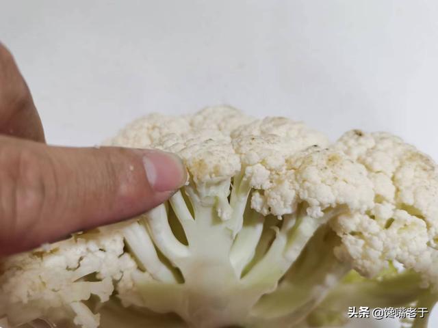 菜花是什么菜，菜花是什么菜图片（看完赶紧收藏告诉家人）