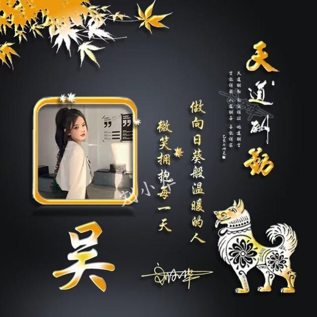 最新男生姓氏头像微信，最新男生姓氏头像（是适合男人用的）