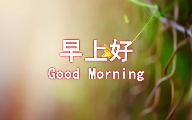 开开心心的句子，开开心心过年的句子发朋友圈（新周早上好动态问候图片优美句子）