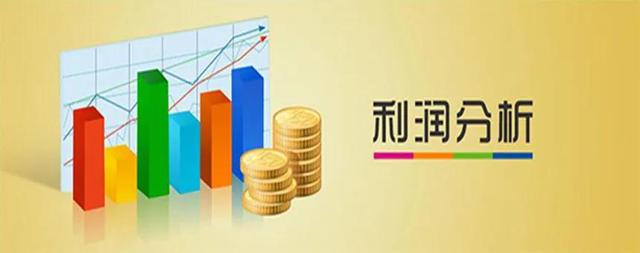 纯利润是什么意思，纯利润 毛利润 净利润是什么意思（“净利润”和“毛利润”只有一字之差）