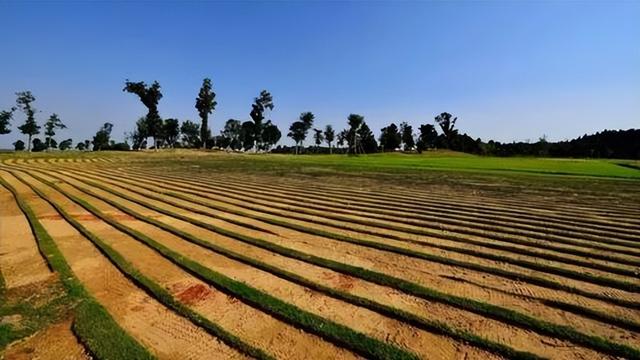 美国有哪五大农业带 美国五大农业带是什么，美国有哪五大农业带（中国农业的发展趋势）