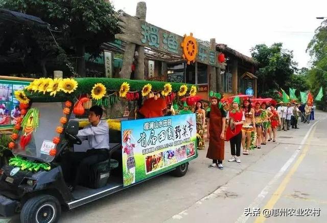 蔊菜与荠菜的图片区别，荠菜长什么样子图片（据说这些是惠州菜市场“最难买”的野菜）