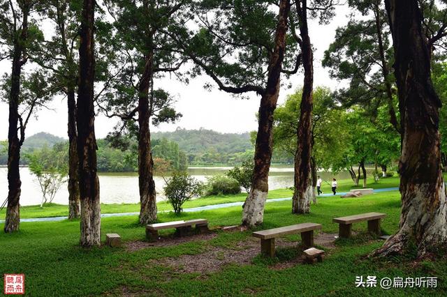 番禺大夫山森林公园，探寻天然氧吧广州大夫山森林公园（大夫山森林公园真的太大了）