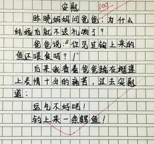 感恩母亲的作文，感恩母亲作文（小学生作文《妈妈真辛苦》）