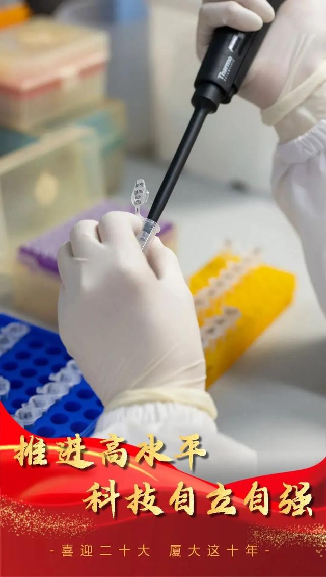 厦门大学占地面积，厦门大学的占地面积是多少（见证不凡丨看，厦大这十年）