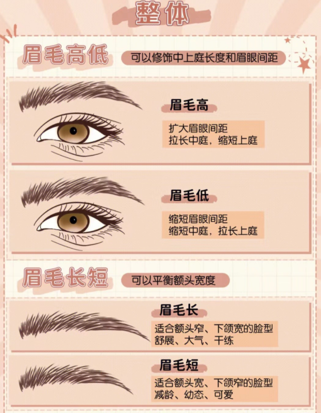 怎么样确定自己适合哪种眉型，眉形定制底层逻辑学起来