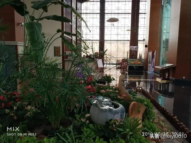 广州莲花山攻略，莲花山旅游攻略（打卡莲花山，你会诗兴大发吗）