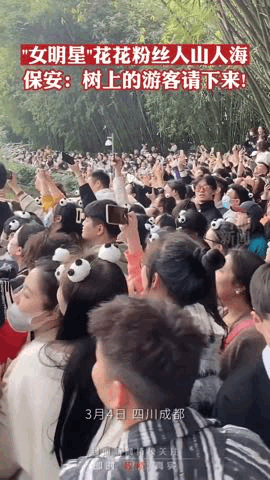 ​游客认错花花，就是那个三角形饭团~