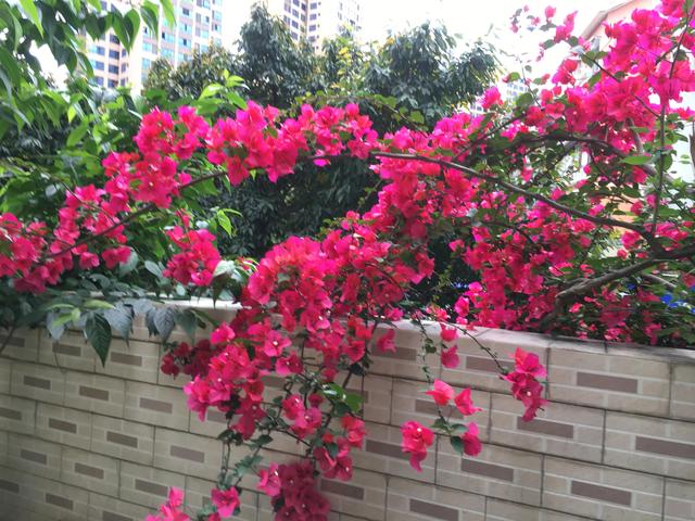 养老的生活怎么形容，形容退休的雅称（我的“养老有道”之开心养老）