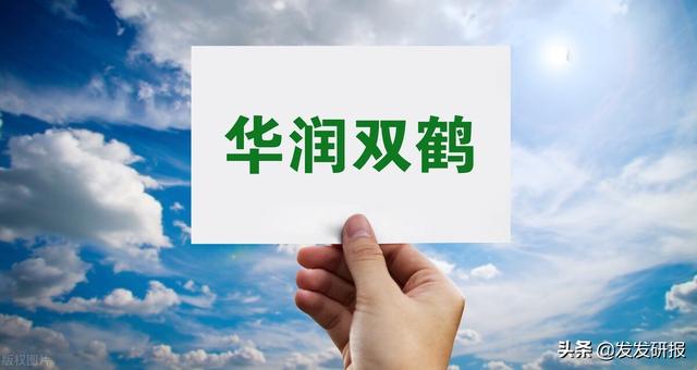 三孚股份做什么，三孚股份是什么样企业（未来涨幅有望大于300%的3只“绩优股”）