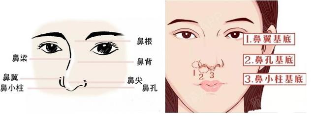 山根低和鼻梁低的区别图片，山根低和鼻梁低的区别 面相（知道这3个变美思路）