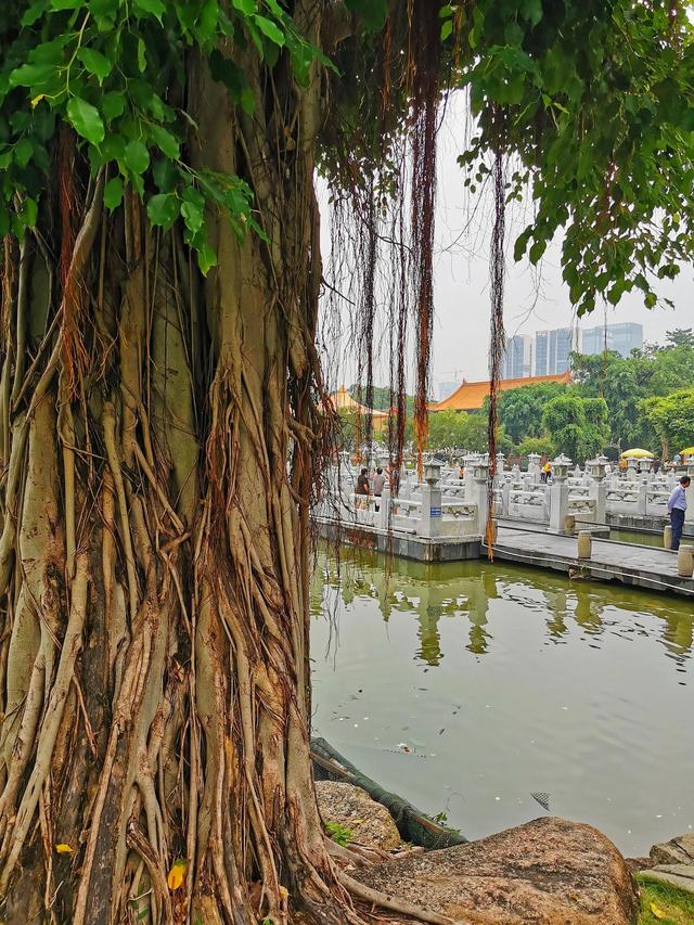 珠海属于哪个市，珠海属于哪个市哪个城市（干净又浪漫的年轻城市——珠海）