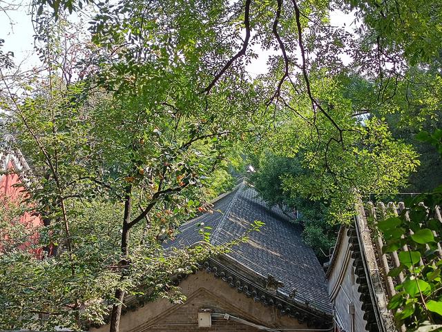 北京郊区一日游，北京郊区一日游最佳路线（曲径通幽好去处一一北京大觉寺一日游）