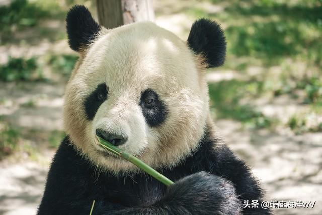 上海最好玩的地方，上海必须去玩的地方有哪些（去上海十个必打卡地）