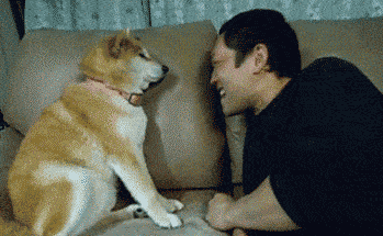 孕妇可以吃韭菜吗，孕妇可以吃韭菜饺子吗（身体会发生什么变化）