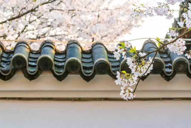 关于温暖的名言，关于理解社会温暖的名言（十首温暖诗词：总有一个人）