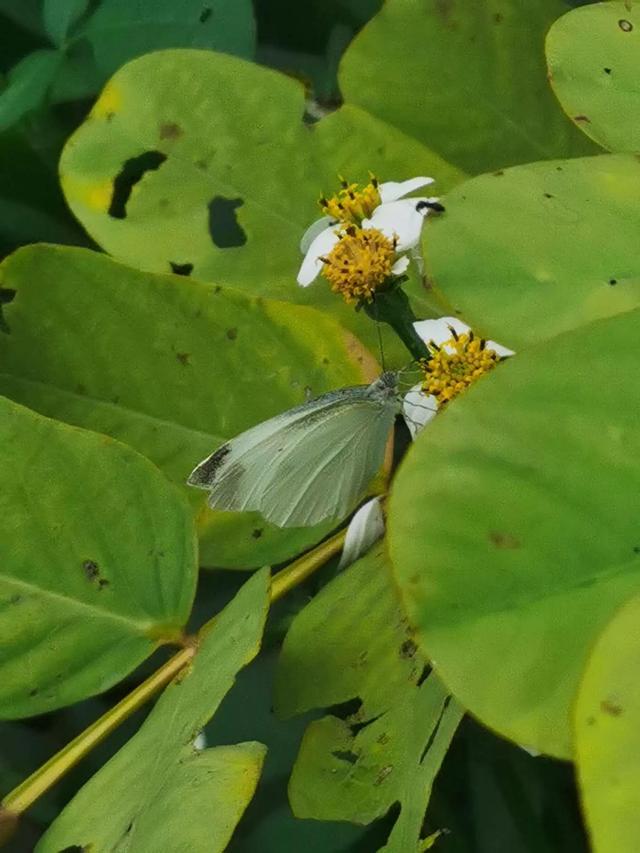 灵魂相似的人一旦相逢，灵魂相似的人一旦相逢是知心朋友（总有一天会在路上相逢）