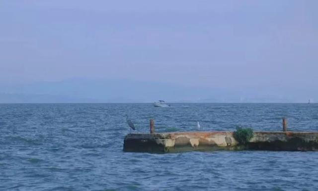 云南最好吃的野生菌在哪，中国最浪漫城市非她莫属