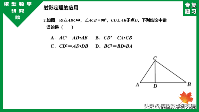 什么是数学上的射影定理，中考专题：射影定理小常识