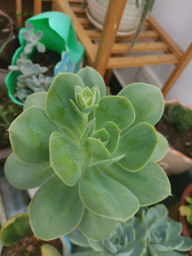 有哪些好听的网名，好看又好听的网名400个（都是些什么名字呢）