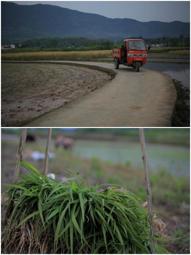 皖南古村落适合去哪里玩，值得多次打卡的小众目的地