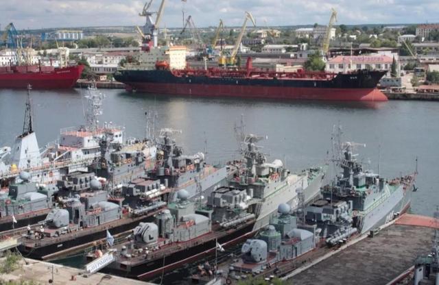 经过训练的海豚会干什么，海豚是怎么被训练的（战斗民族培训的战斗“海豚”）