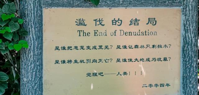 广州越秀公园游玩攻略，广州越秀公园旅游攻略（北京市内最大湿地公园）