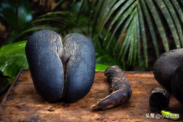 有海的地方哪个比较适合旅游，海边去哪里旅游最好（海岛旅行度假首选）