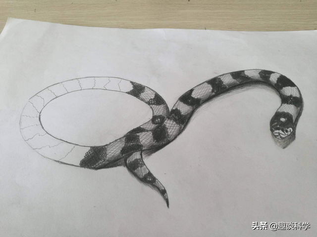 属蛇33岁鬼门关，属蛇2022年婚变（七旬老伯被追咬）