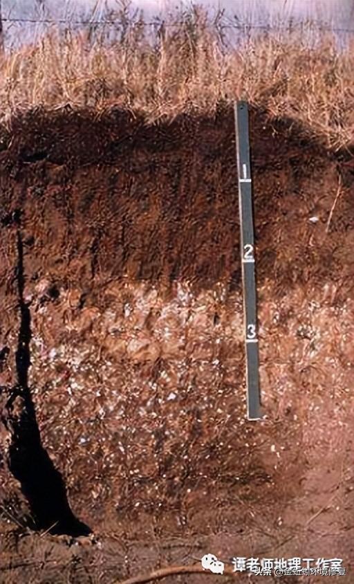 土地性质分类和用途，怎么查个人土地信息（附中国土壤的分类及分布）