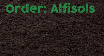 土地性质分类和用途，怎么查个人土地信息（附中国土壤的分类及分布）