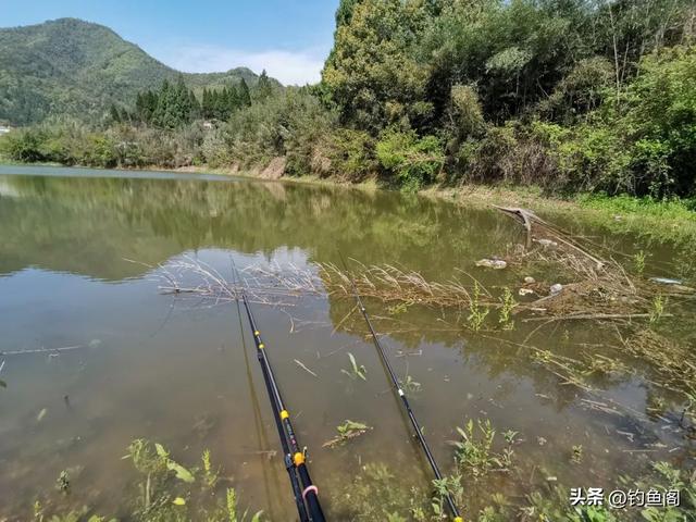 水库钓鱼技巧如何找准钓位与钓点，只需找到这2种位置