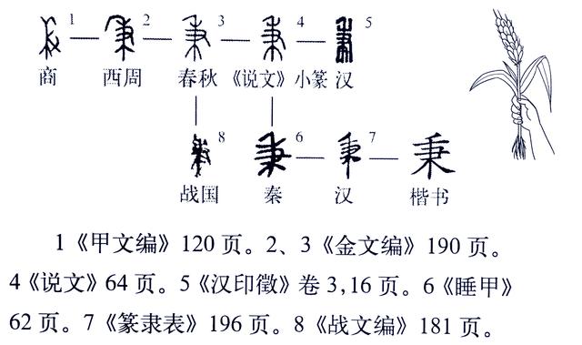 秉怎么读，秉怎么读组词（《说文解字》551课）