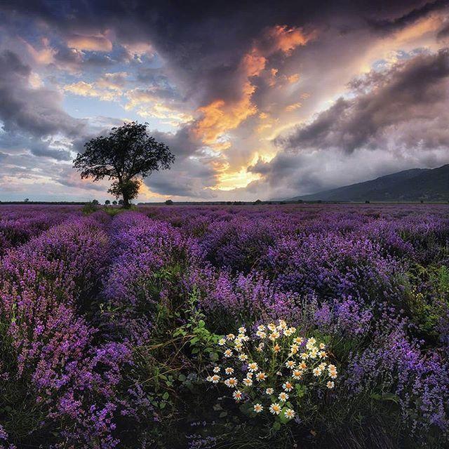生活压力感悟经典句子，生活的压力经典句子（释放压力的人生哲理语录）
