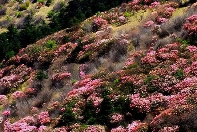 现在去哪里旅游最合适，暑假去哪里旅游最好（国内旅游目的地全国旅游各季节适宜时间表）