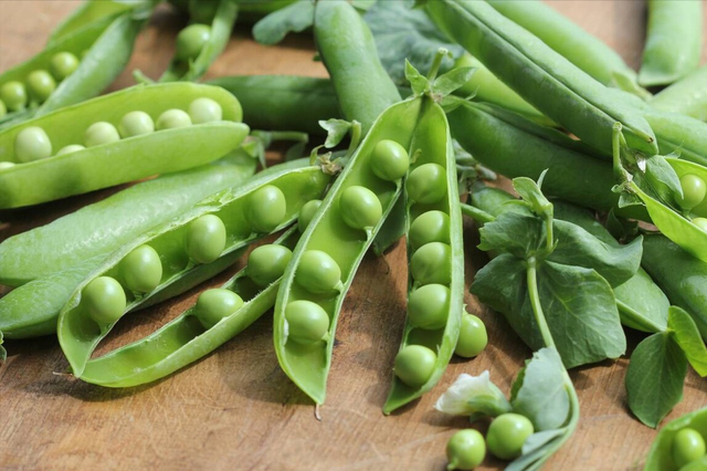 新鲜豌豆的做法，豌豆芽做法（鲜豌豆保存有诀窍）