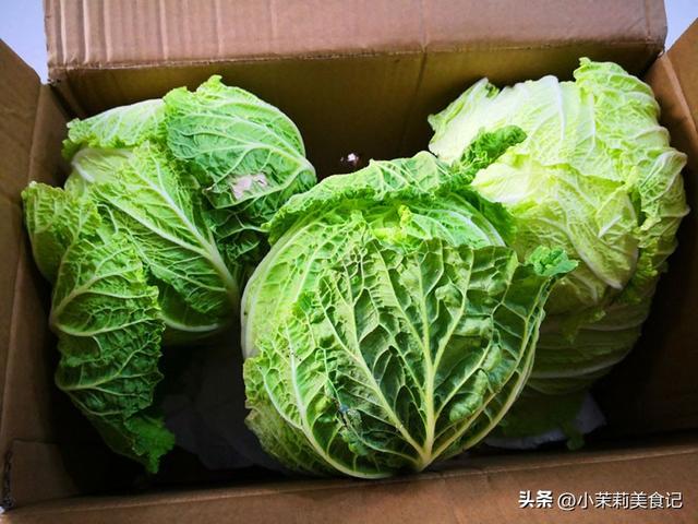 青菜怎么保存新鲜不烂，青菜洗完怎么保存新鲜不烂（不烂帮不黄叶不长芽）