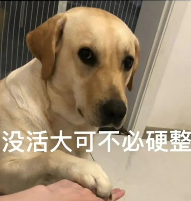 儿童发型图片 小女孩发型绑扎方法简单又可爱，儿童发型图片（几款绝美的新年公主编发）